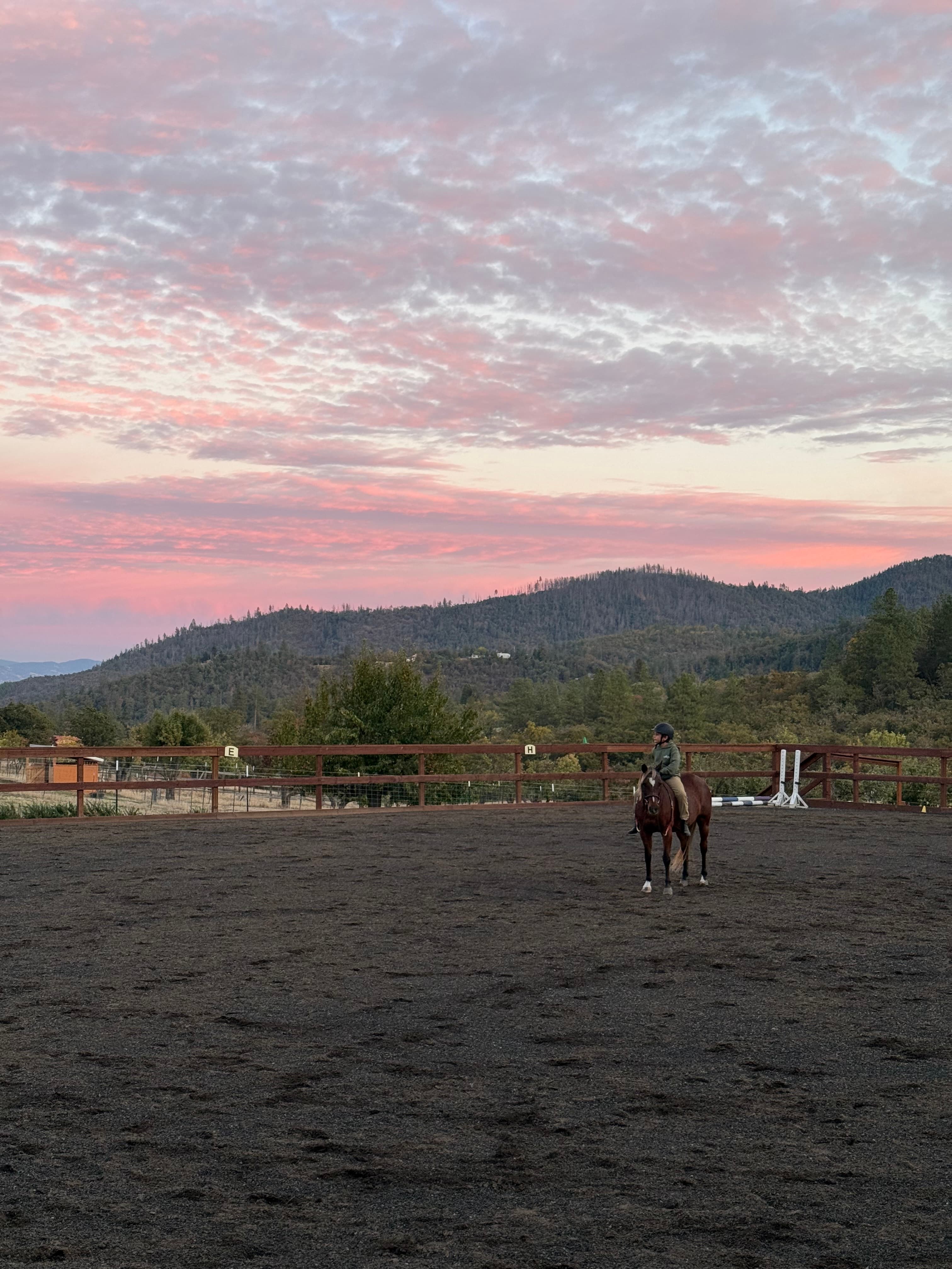 Horse and rider at the River Road barn